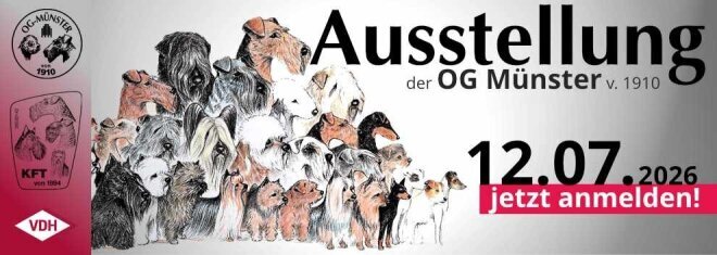 og_muenster_ausstellung_2026_07_12 og_muenster_ausstellung_2026_07_12
